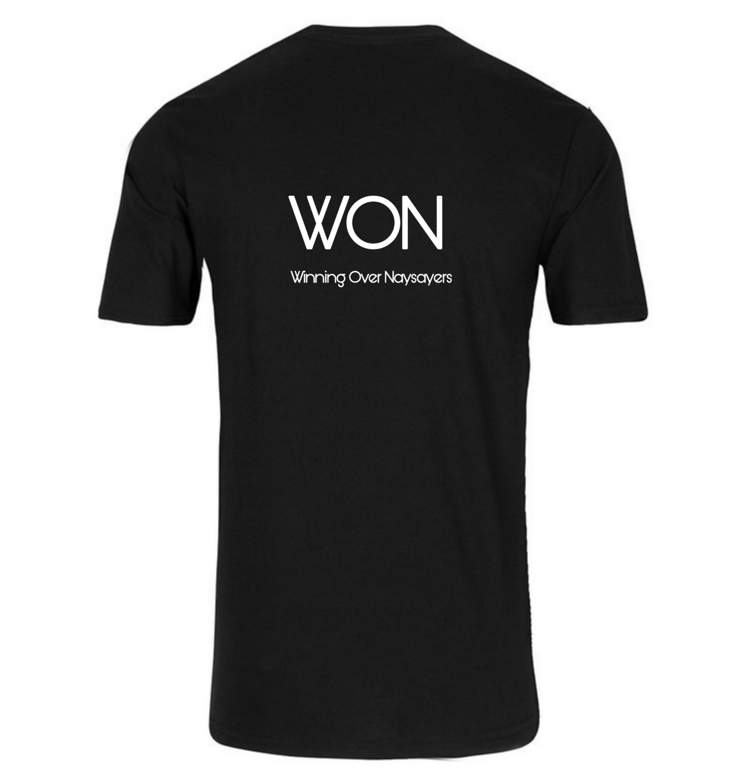 W.O.N (Winning Over Naysayers)