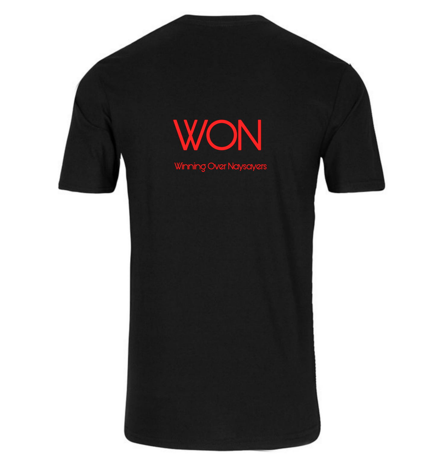 W.O.N (Winning Over Naysayers)